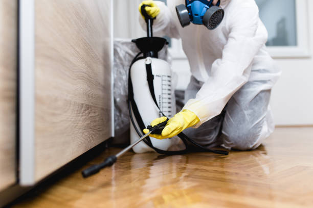  Ovid, MI Pest Control Pros