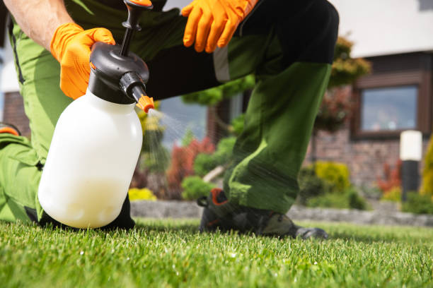 Best Pest Control Near Me  in Ovid, MI
